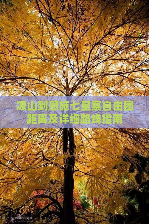 凉山到恩施七星寨自由团距离及详细路线指南