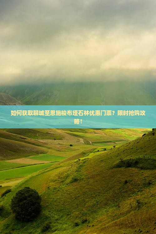 如何获取聊城至恩施梭布垭石林优惠门票？限时抢购攻略！