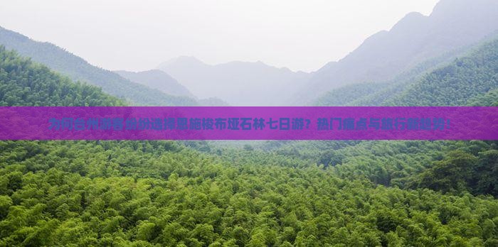 为何台州游客纷纷选择恩施梭布垭石林七日游？热门痛点与旅行新趋势！