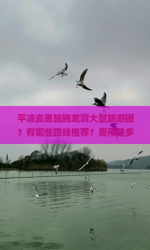 平凉去恩施腾龙洞大型旅游团？有哪些路线推荐？费用是多少？