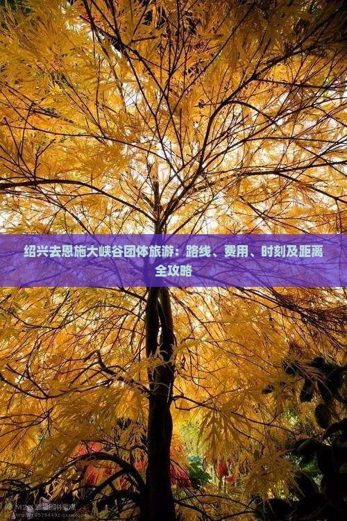 绍兴去恩施大峡谷团体旅游：路线、费用、时刻及距离全攻略