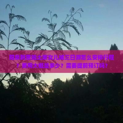 阳泉到恩施土家女儿城三日游怎么安排行程？费用大概是多少？需要提前预订吗？