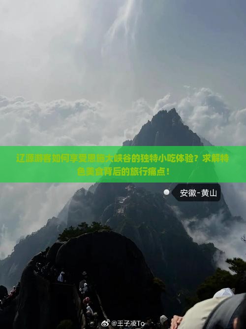 辽源游客如何享受恩施大峡谷的独特小吃体验？求解特色美食背后的旅行痛点！