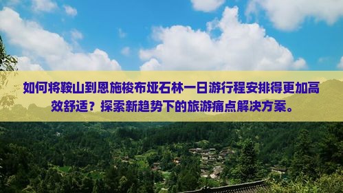 如何将鞍山到恩施梭布垭石林一日游行程安排得更加高效舒适？探索新趋势下的旅游痛点解决方案。