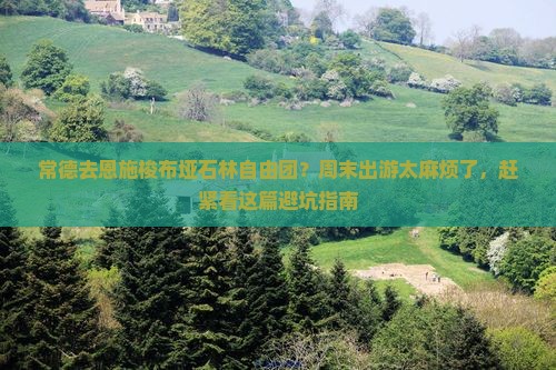 常德去恩施梭布垭石林自由团？周末出游太麻烦了，赶紧看这篇避坑指南
