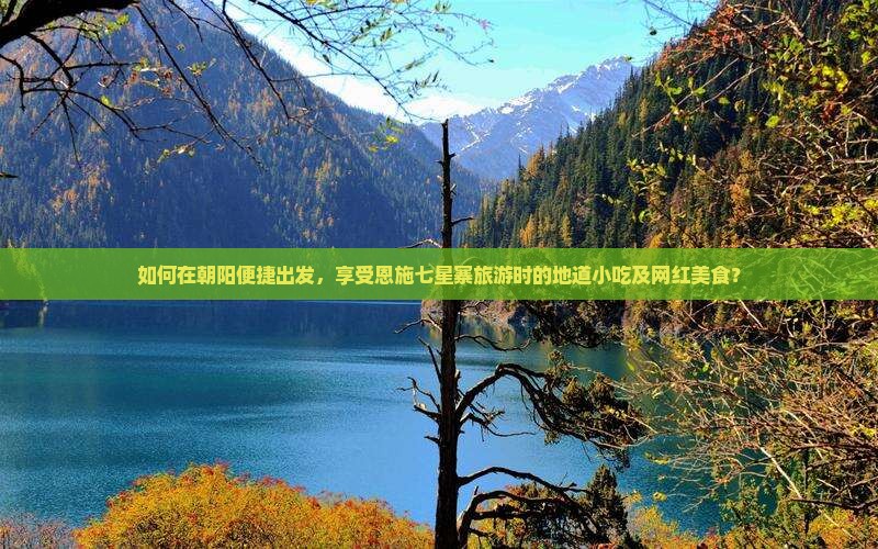 如何在朝阳便捷出发，享受恩施七星寨旅游时的地道小吃及网红美食？