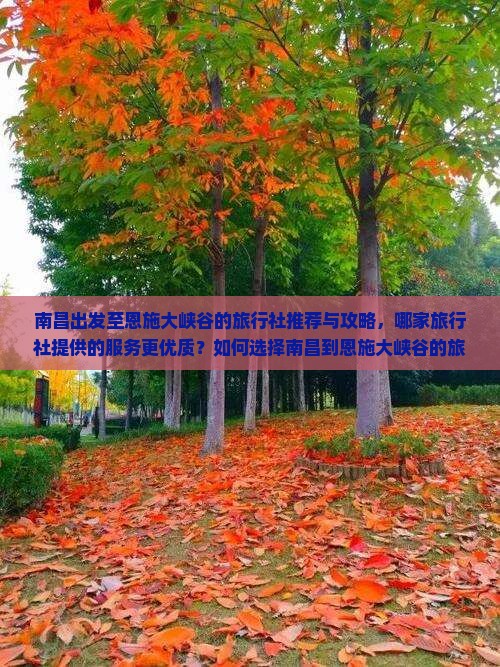南昌出发至恩施大峡谷的旅行社推荐与攻略，哪家旅行社提供的服务更优质？如何选择南昌到恩施大峡谷的旅行线路？