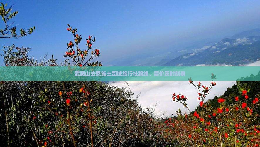 武夷山去恩施土司城旅行社路线、票价及时刻表