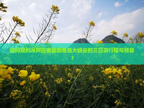 如何规划从阿拉善盟到恩施大峡谷的三日游行程与预算？
