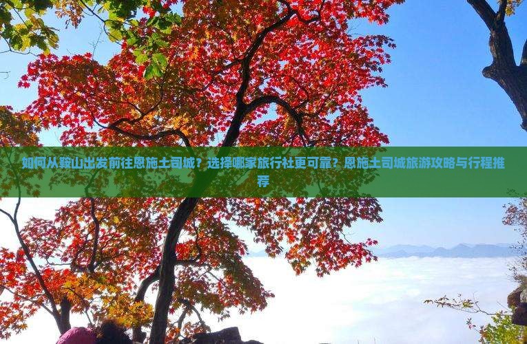 如何从鞍山出发前往恩施土司城？选择哪家旅行社更可靠？恩施土司城旅游攻略与行程推荐