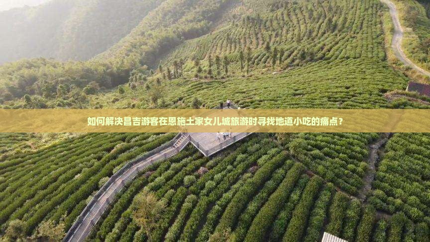 如何解决昌吉游客在恩施土家女儿城旅游时寻找地道小吃的痛点？