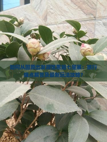如何从固原出发游览恩施七星寨：旅行痛点解答及最新玩法攻略？