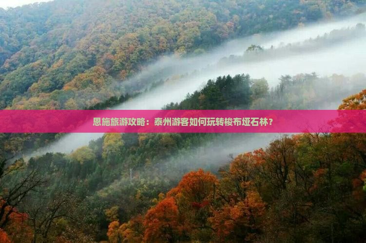 恩施旅游攻略：泰州游客如何玩转梭布垭石林？