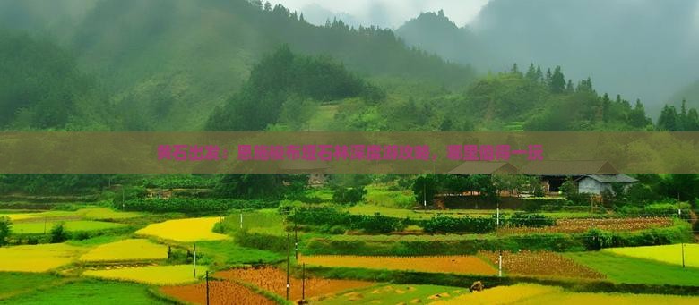 黄石出发：恩施梭布垭石林深度游攻略，哪里值得一玩