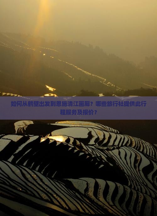 如何从鹤壁出发到恩施清江画廊？哪些旅行社提供此行程服务及报价？