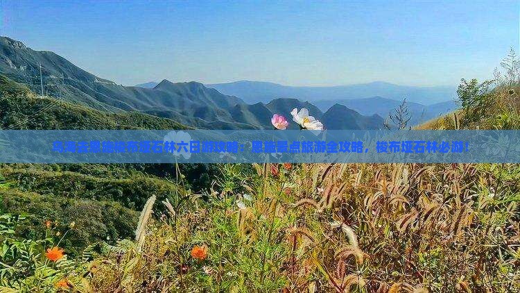 乌海去恩施梭布垭石林六日游
