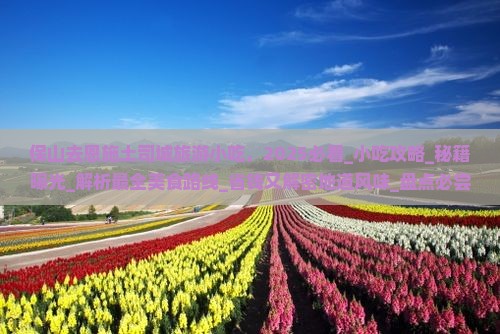 保山去恩施土司城旅游小吃