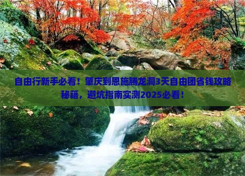 肇庆到恩施腾龙洞自由团