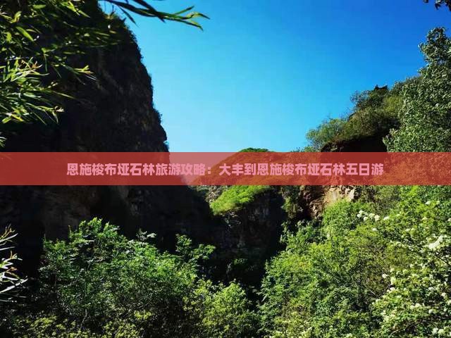 大丰到恩施梭布垭石林五日游
