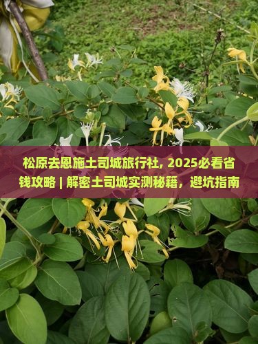 松原去恩施土司城旅行社