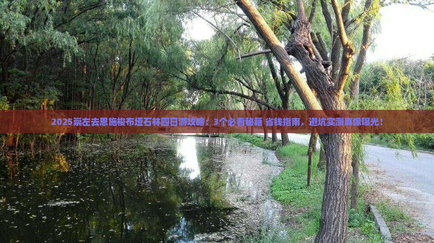 崇左去恩施梭布垭石林四日游