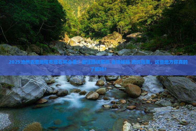沧州去恩施梭布垭石林必去地