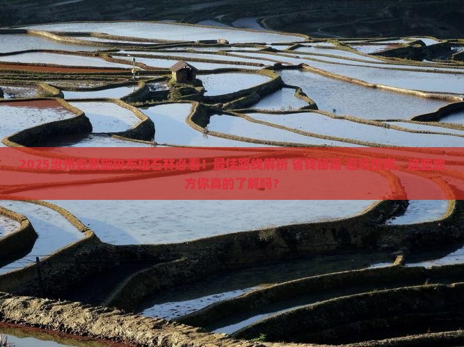 沧州去恩施梭布垭石林必去地