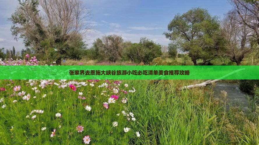 张家界去恩施大峡谷旅游小吃