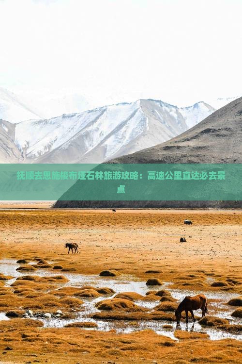 抚顺去恩施梭布垭石林必去地