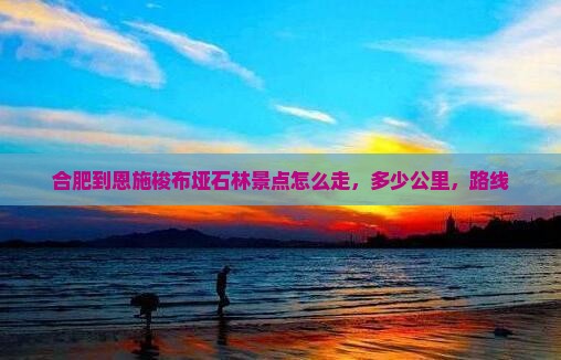 合肥到恩施梭布垭石林景点