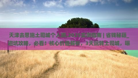 天津去恩施土司城个人游