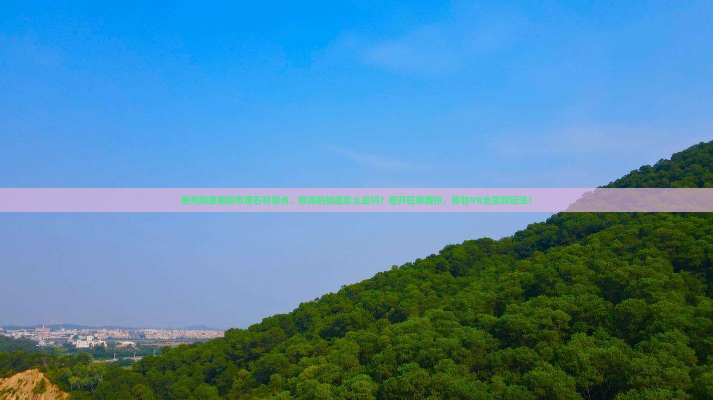 梧州到恩施梭布垭石林景点