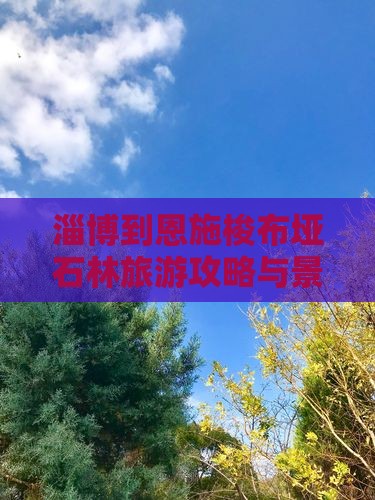 淄博到恩施梭布垭石林哪里玩