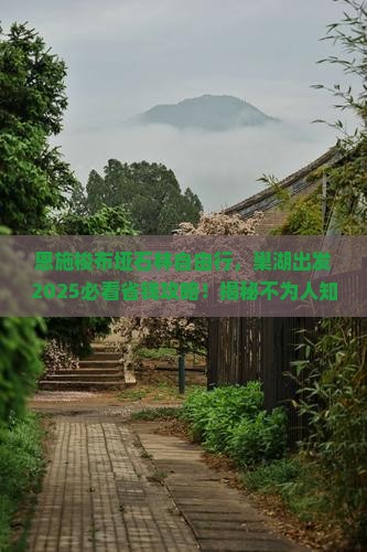 巢湖去恩施梭布垭石林自由行