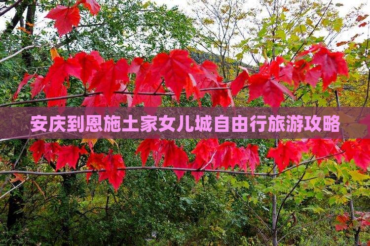 安庆到恩施土家女儿城自由行