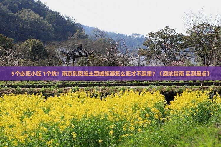 南京到恩施土司城旅游小吃