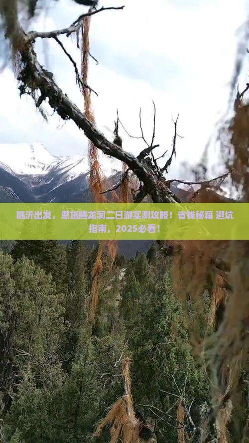 临沂去恩施腾龙洞二日游