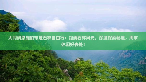 大同到恩施梭布垭石林自由行