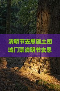 清明节去恩施土司城门票
