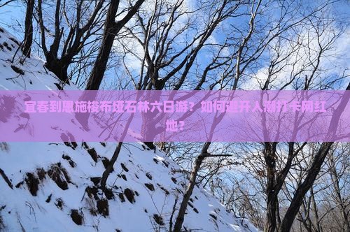 宜春到恩施梭布垭石林六日游？如何避开人潮打卡网红地？