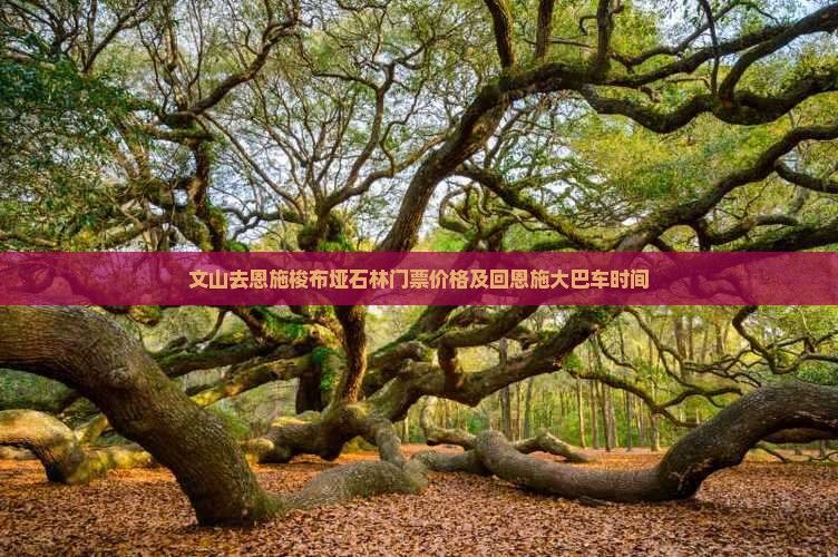 文山去恩施梭布垭石林门票价格及回恩施大巴车时间