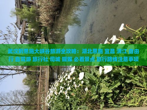 武汉到恩施大峡谷旅游全攻略：湖北恩施+宜昌+清江+自由行+自驾游+旅行社+司城+蝴蝶+必看景点+旅行路线注意事项