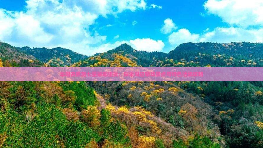 阜阳去恩施七星寨哪里玩：探索周边精华景点与特色活动攻略