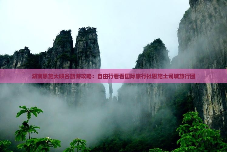 湖南恩施大峡谷旅游攻略：自由行看看国际旅行社恩施土司城旅行团