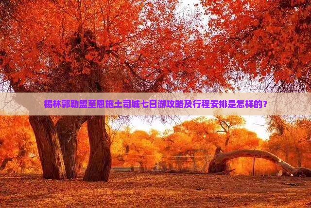 锡林郭勒盟至恩施土司城七日游攻略及行程安排是怎样的？