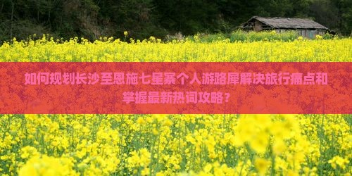如何规划长沙至恩施七星寨个人游路犀解决旅行痛点和掌握最新热词攻略？