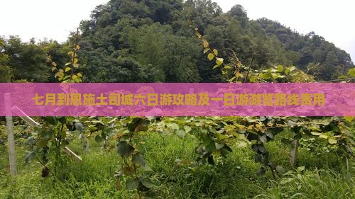 七月到恩施土司城六日游攻略及一日游游览路线费用