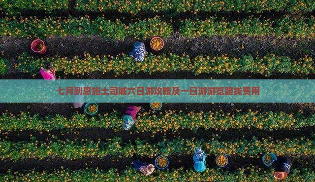 七月到恩施土司城六日游攻略及一日游游览路线费用
