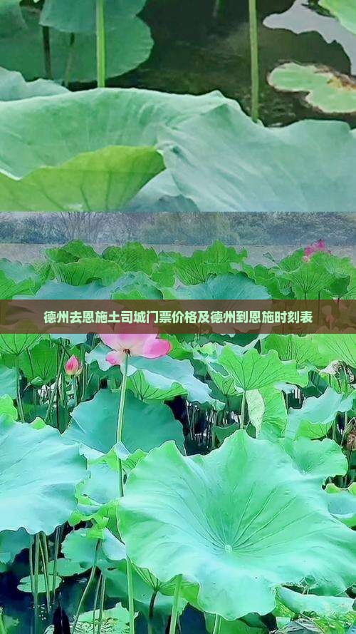 德州去恩施土司城门票价格及德州到恩施时刻表