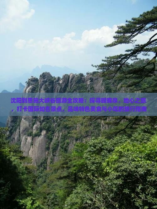 沈阳到恩施大峡谷旅游全攻略：探寻蝴蝶泉、地心之旅，打卡国际知名景点，品味特色美食与小吃的旅行指南